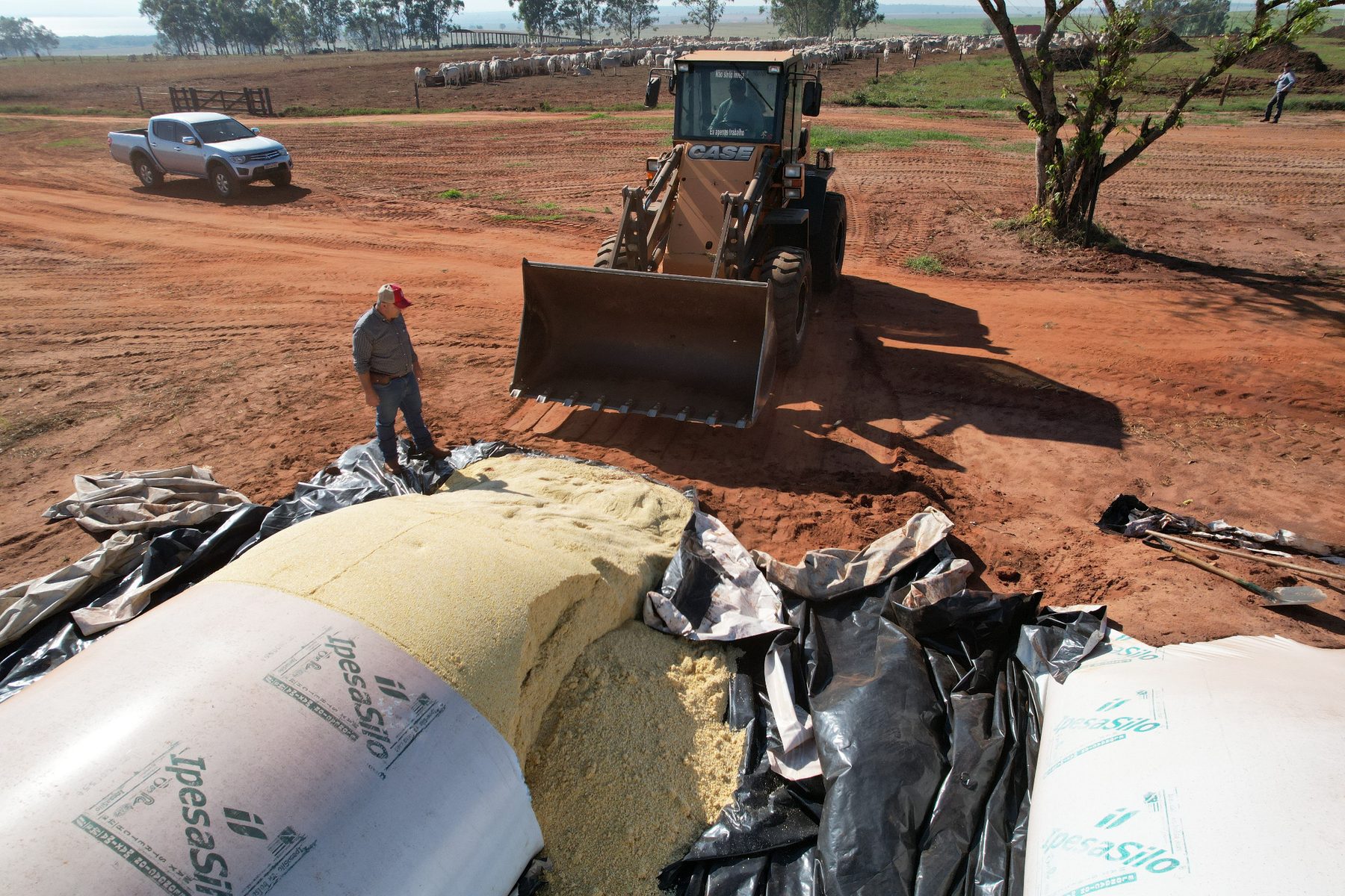 Processamento em campo