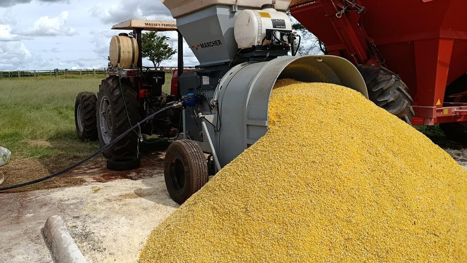 Processamento de grãos em operação MillS