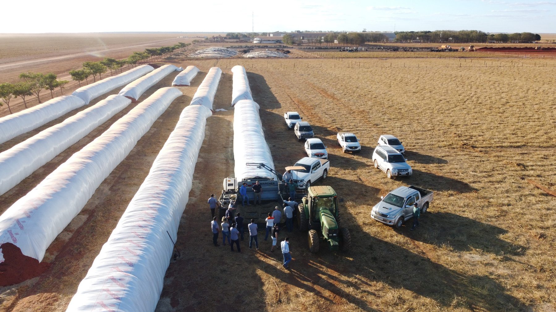 Armazenamento de grãos processados em silo-bolsa