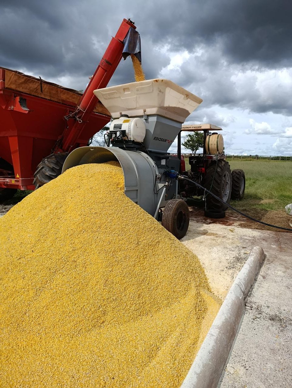 Máquina realizando processamento de grãos em campo