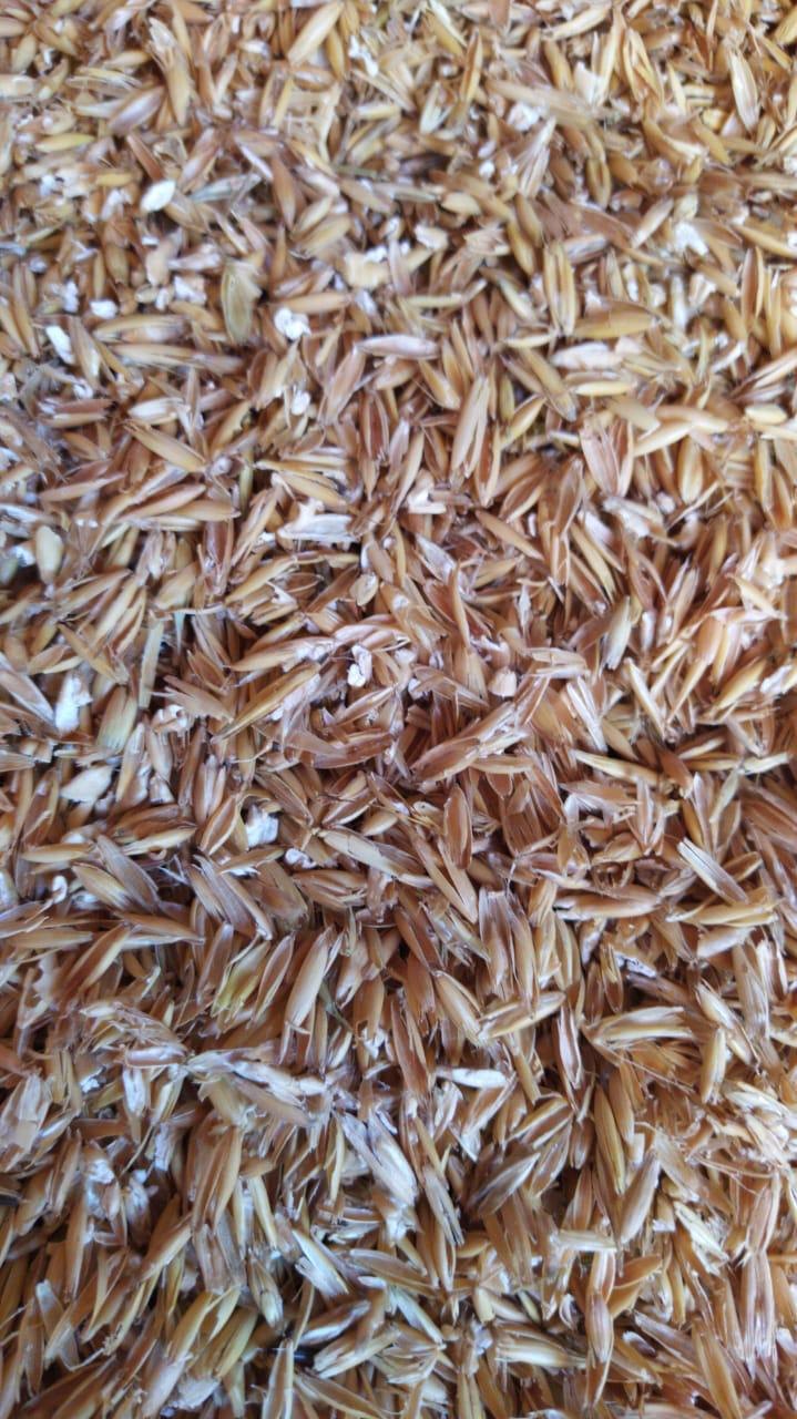 Material processado para avaliação de granulometria