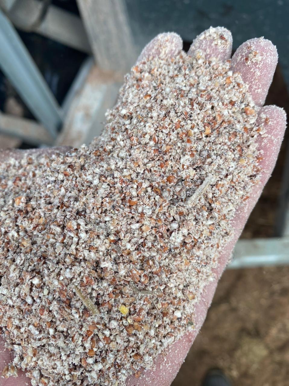 Material processado armazenado em silo-bolsa